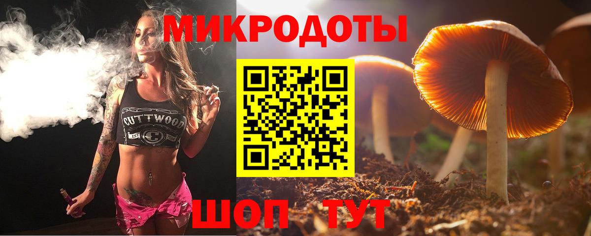 Галлюциногенные грибы Psilocybe  Вход с VPN  купить  цена  Братск 